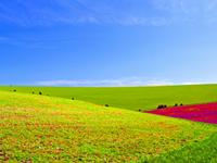 八字五行告诉你姓名透露哪些隐私