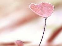 怎样选择好的风水旺地