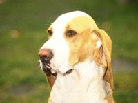 艾薇一周星座运势（2015.5.17-5.23）