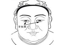 主星在子女宫不同的含义(下)
