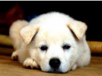 改名需要注意的三个地方