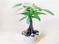 白羊座心中最难忘的六一礼物