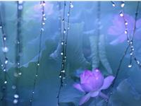 玛丽亚2015年6月射手座运势