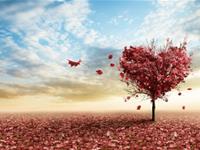 洁安2015年6月生命灵数运势