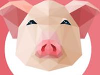 2015下半年生肖猪财运解析