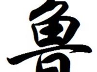 鲁氏的主要迁徒位置