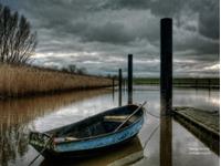 薇薇安12星座2015年6月整体运势