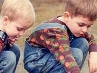 十二生肖中最棒的默契组合