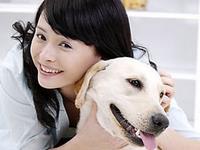 有的生肖为何不宜养狗