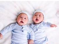 用颜色给羊年双胞胎女宝宝起名