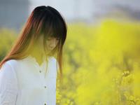 泓翔2015年8月生肖开运选择宜忌