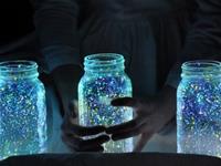 泓翔2015年8月生肖理发运势