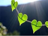 职场中你是否独一无二