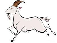 属羊的人2016年每月运程