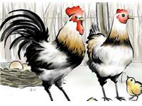 属鸡的人2016年每月运程