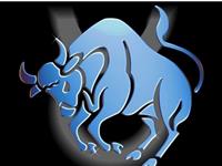 醉酒后的金牛座