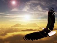 那些注定不平凡的生肖