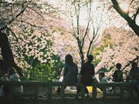 测测你和TA的缘分