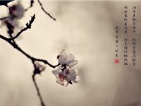 12星座的诗意指数