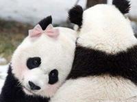 谁是跟你过不去的人？