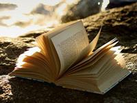 不同血型学生的表现