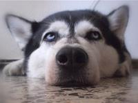 哪些星座会令你感到崩溃