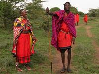 紫微斗数教你怎样划算娶妻