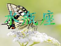 水瓶女会因为什么变成女强人