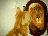 占卜你是否内心强大