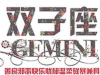 双子座最容易被什么细节打动