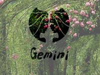 双子座会对什么事耿耿于怀