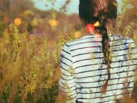 董易奇生肖狗2016年运势大全及必备吉祥物