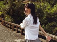 郑博士2016年属鸡的运势