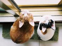 最爱画面暴露你的无情指数