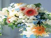 测试你怎样保鲜爱情