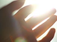 12月生肖鼠整体运盘点