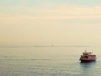 金爱伦2015年12月处女座运势