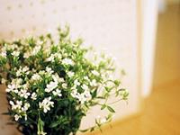 测试你明年会幸福吗？