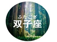 双子座为什么存不下钱