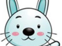 2016年生肖兔如何旺运改命