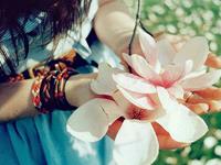 米舍兰2016年十二星座运势