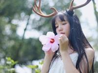 凤鸣九天2016年白羊座运势