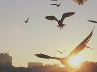 占卜你今生的宿命