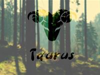 水逆莫慌！金牛座做好以下准备