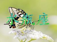 职场中水瓶座拿什么来保护自己