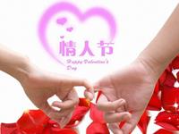 在情人节摆脱单身狗称号的星座