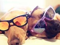 占卜你的相亲奇葩事