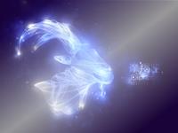 摩羯座最易活在哪种恐惧中