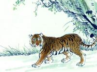 2016属虎人的作为