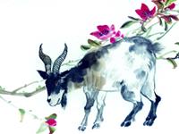 2016属羊人的作为